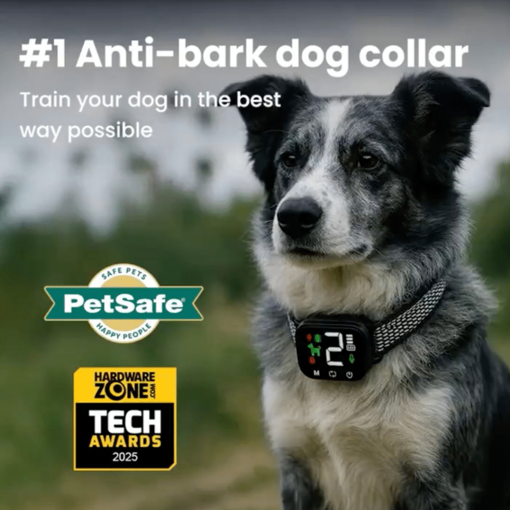 Noobark Collar (Upgraded Version [year]) - Official Retailer