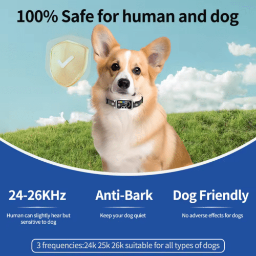 Noobark Collar (Upgraded Version [year]) - Official Retailer